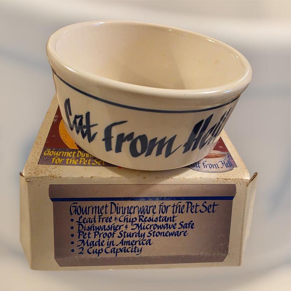 Cat From Hell Gourmet Dinnerware Bowl Novelty Stoneware with Box